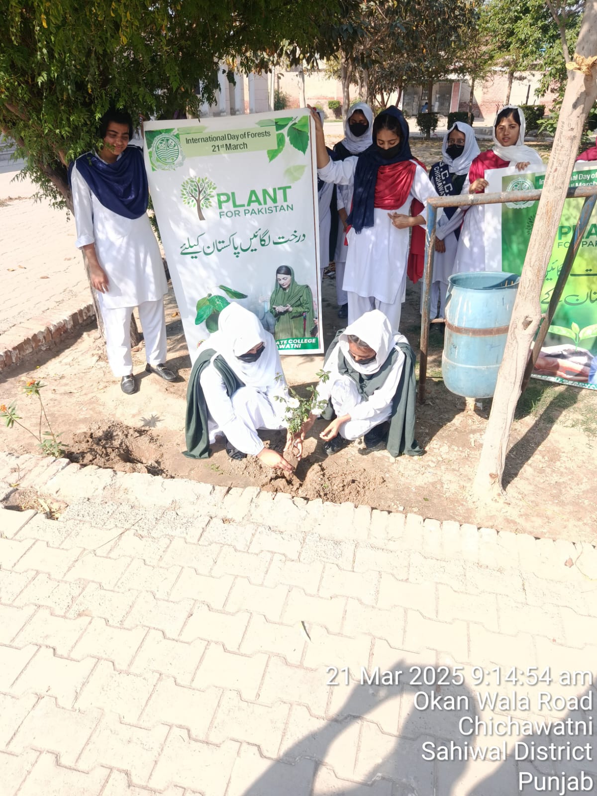 Digital Marketing Certificate