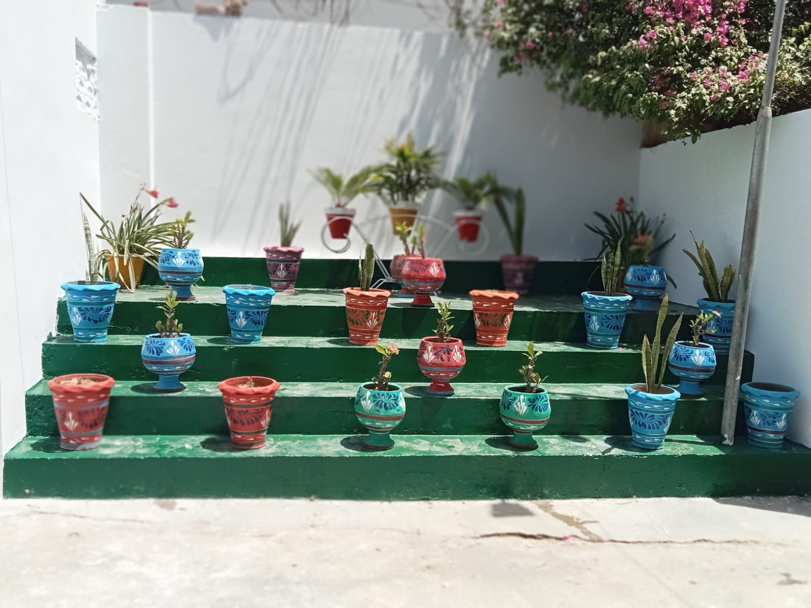 Digital Marketing Certificate