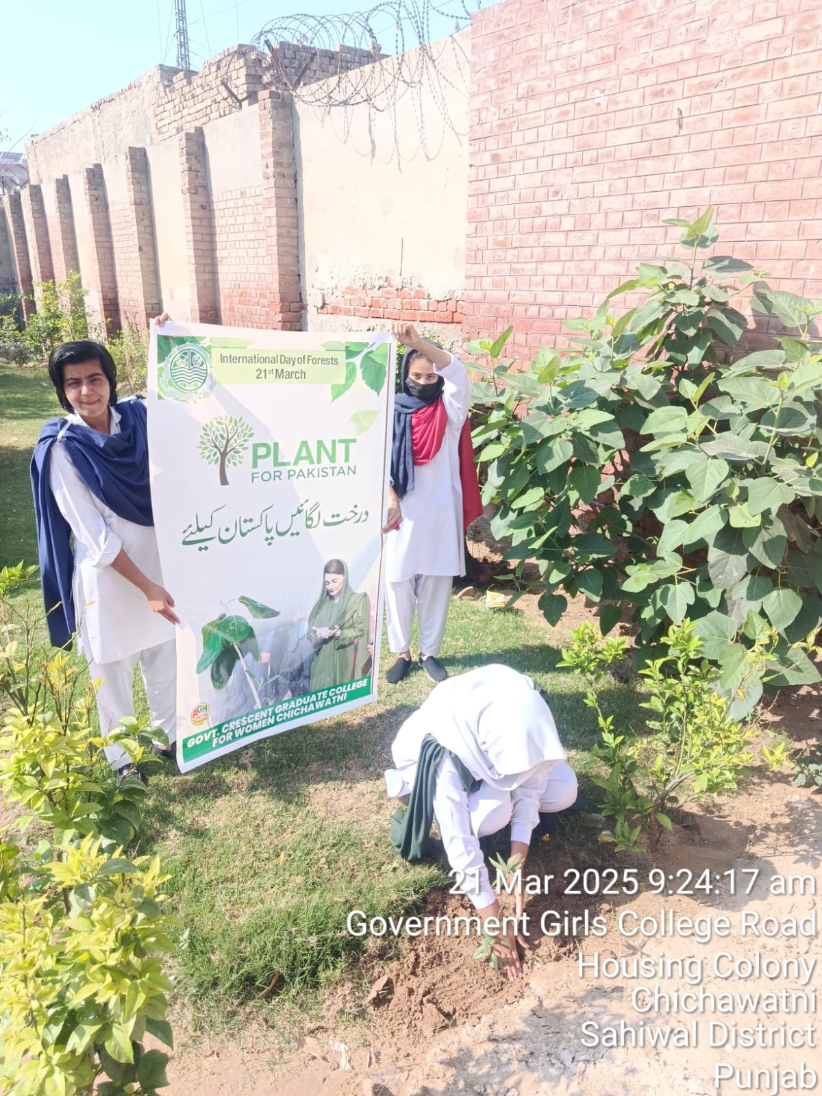 Digital Marketing Certificate